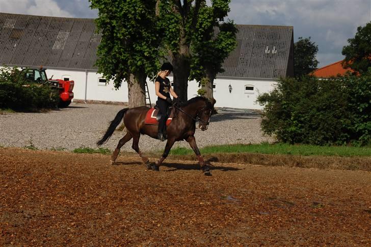 Min lille Banditte<3 billede 103