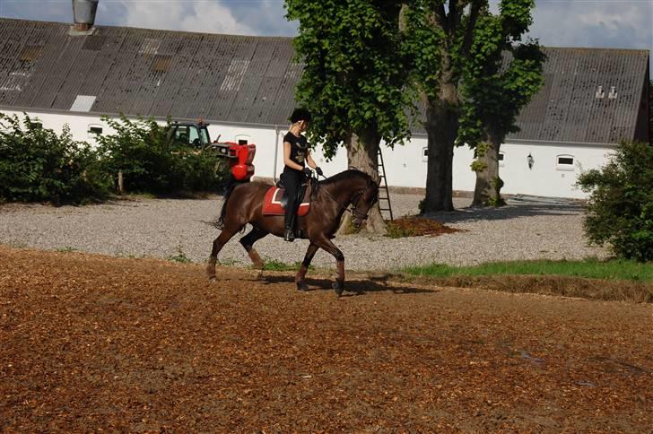 Min lille Banditte<3 billede 104