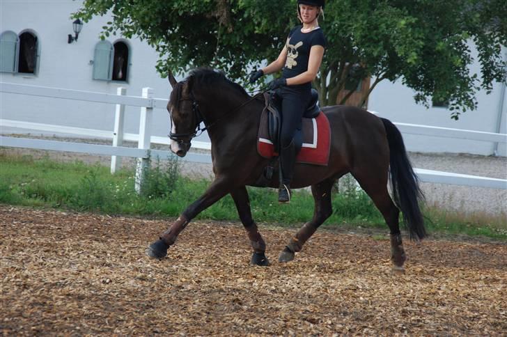 Min lille Banditte<3 billede 107