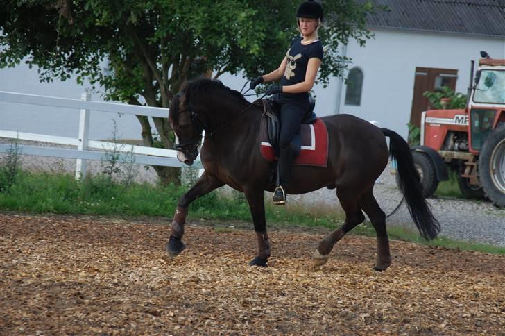 Min lille Banditte<3 billede 108