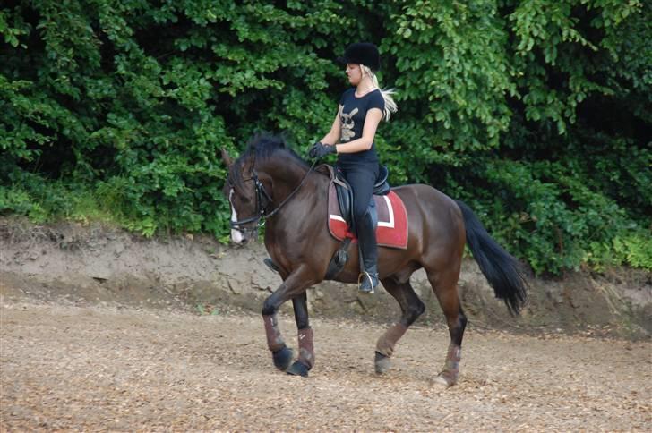 Min lille Banditte<3 billede 110