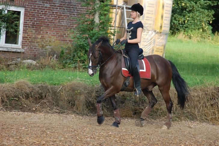 Min lille Banditte<3 billede 111