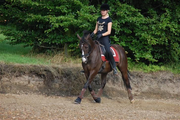 Min lille Banditte<3 billede 112