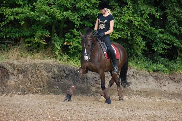 Min lille Banditte<3 billede 113