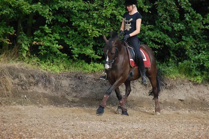 Min lille Banditte<3 billede 114