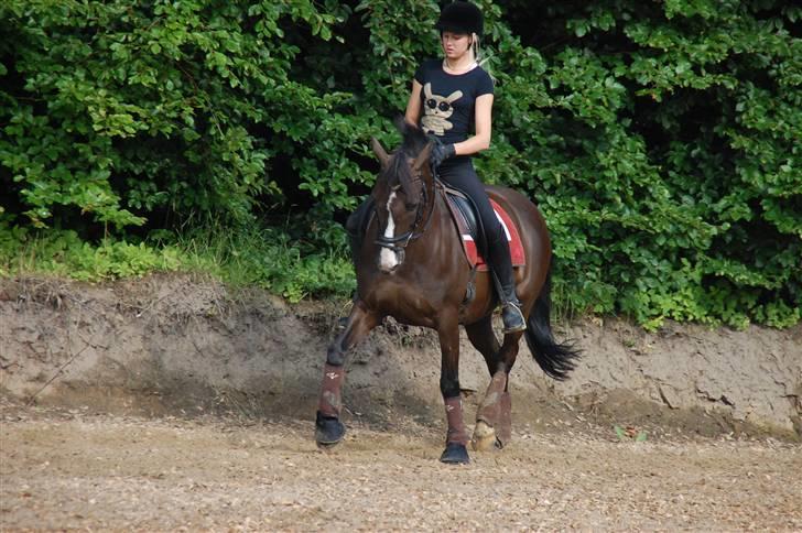 Min lille Banditte<3 billede 115