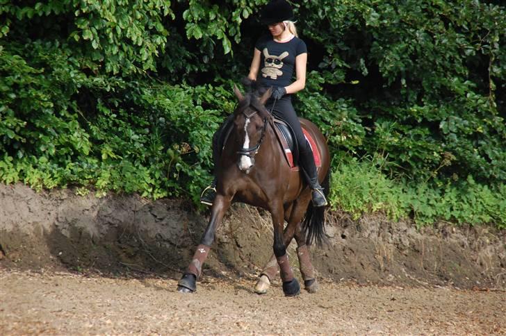 Min lille Banditte<3 billede 116