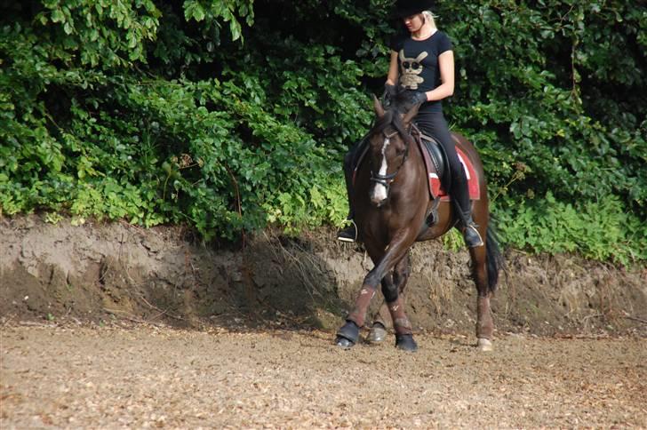 Min lille Banditte<3 billede 117