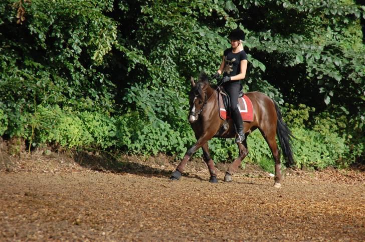 Min lille Banditte<3 billede 118