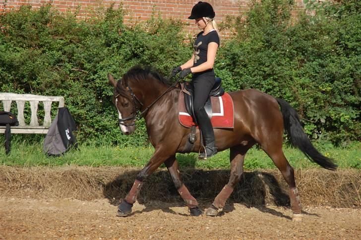 Min lille Banditte<3 billede 119