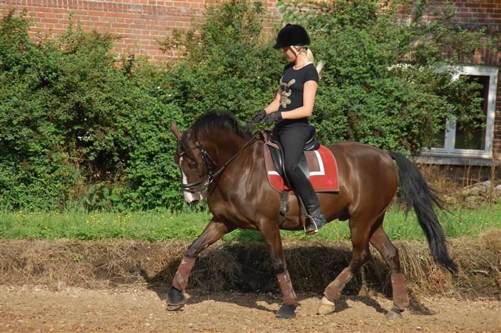 Min lille Banditte<3 billede 120