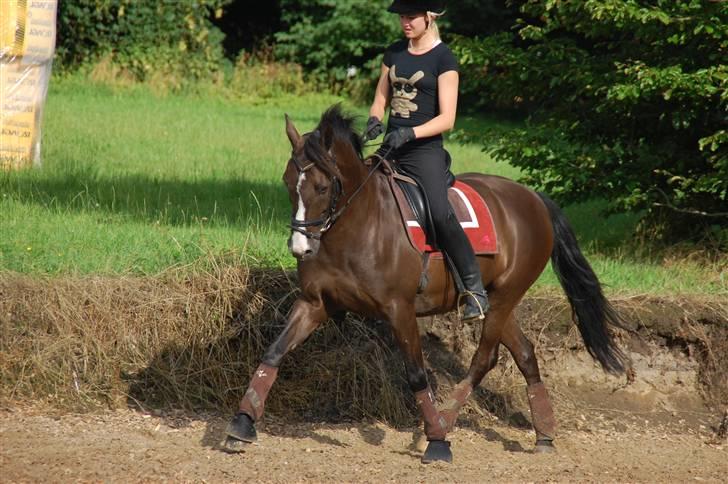 Min lille Banditte<3 billede 121