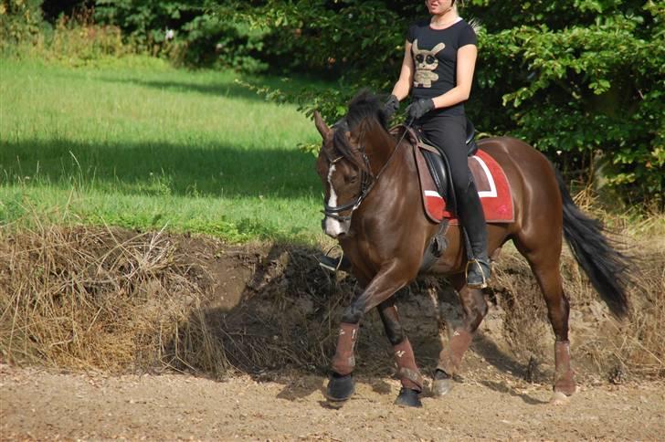 Min lille Banditte<3 billede 122