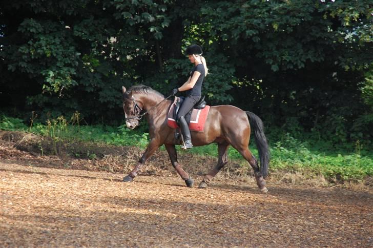 Min lille Banditte<3 billede 123