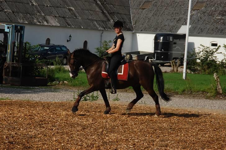 Min lille Banditte<3 billede 125