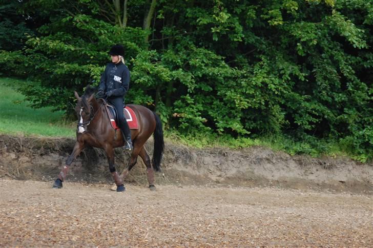 Min lille Banditte<3 billede 126