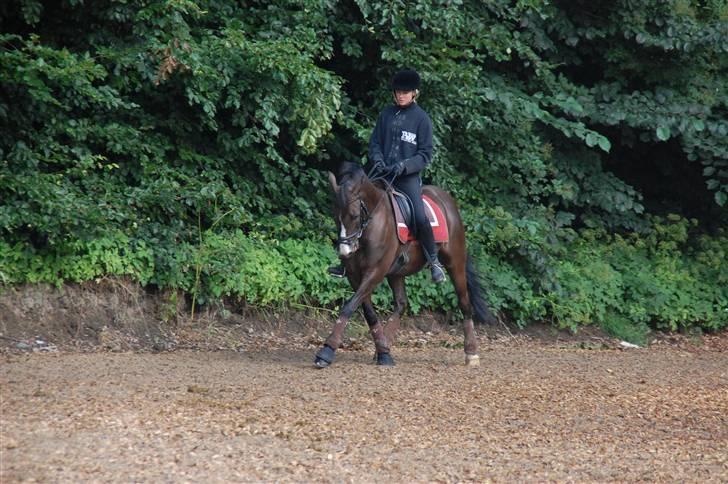 Min lille Banditte<3 billede 127