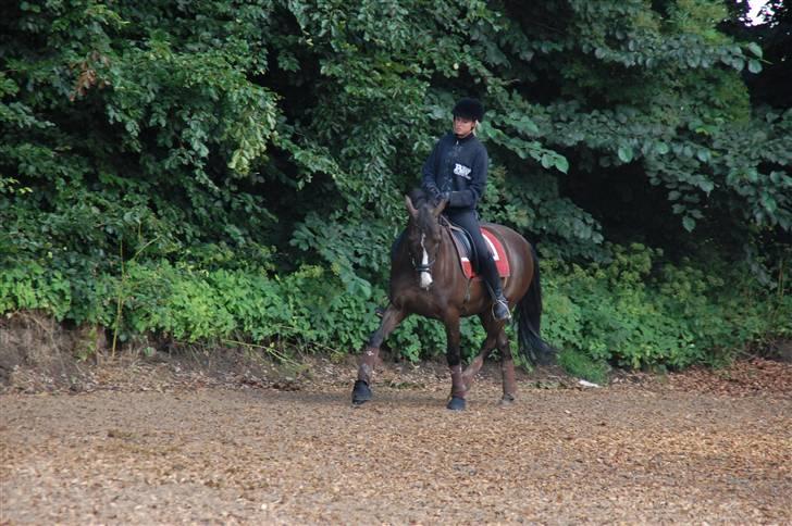 Min lille Banditte<3 billede 128