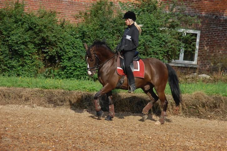 Min lille Banditte<3 billede 129