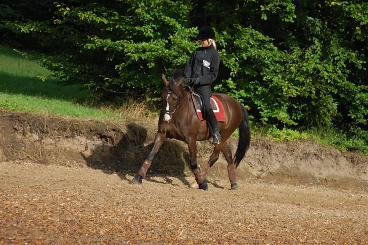 Min lille Banditte<3 billede 130