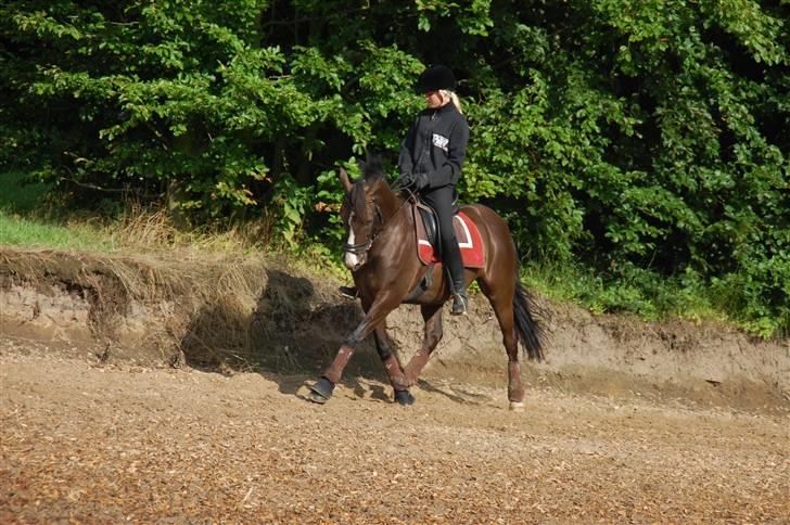 Min lille Banditte<3 billede 131