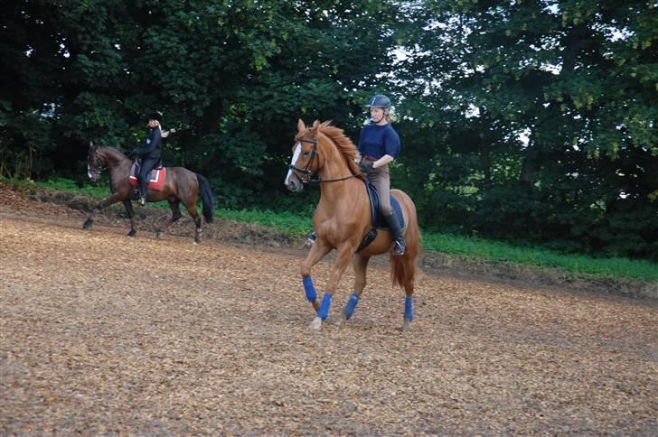 Min lille Banditte<3 billede 133