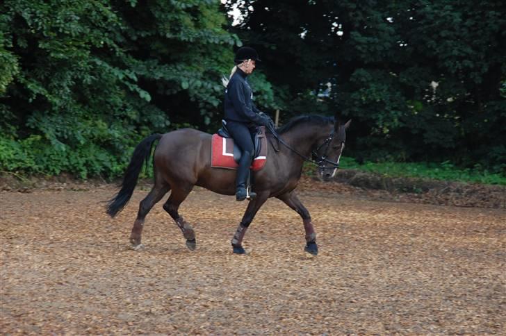 Min lille Banditte<3 billede 136