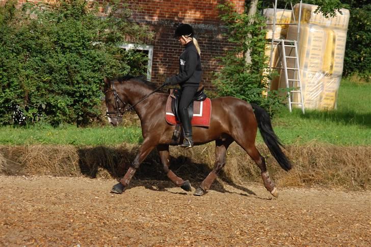 Min lille Banditte<3 billede 137