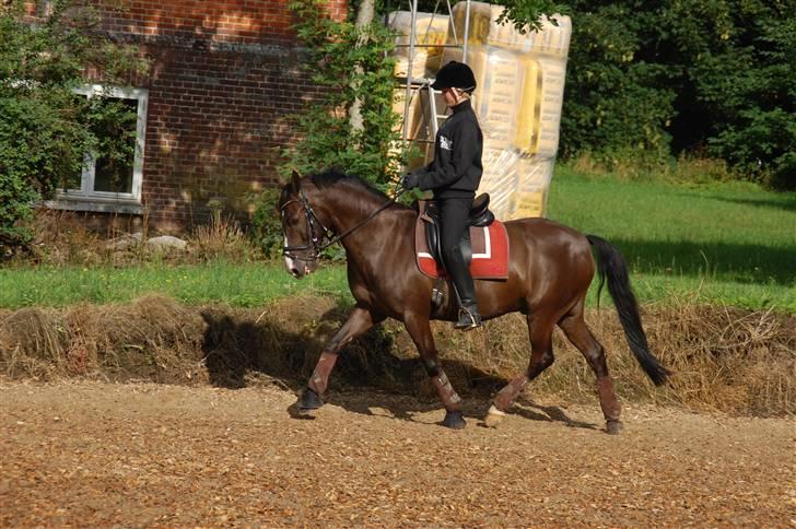 Min lille Banditte<3 billede 138