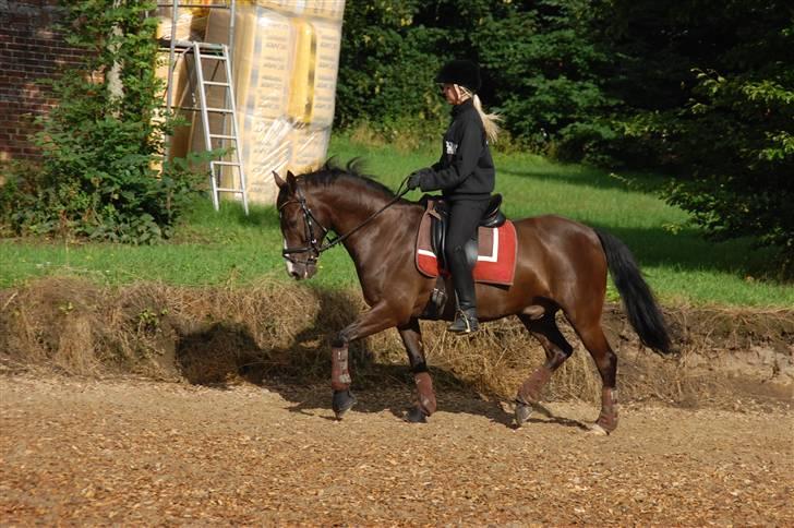 Min lille Banditte<3 billede 139