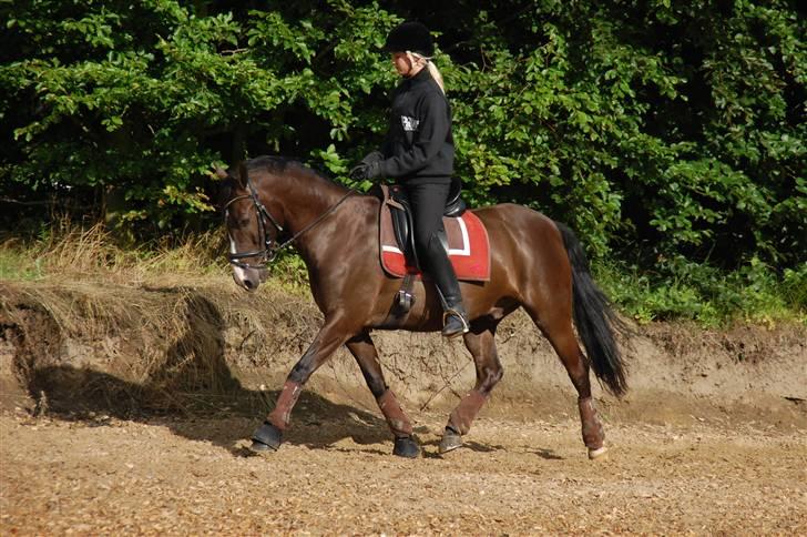 Min lille Banditte<3 billede 140