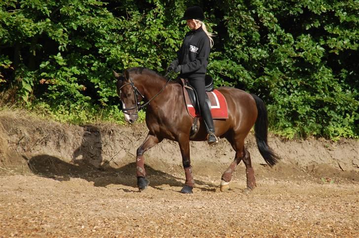 Min lille Banditte<3 billede 141