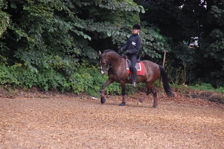 Min lille Banditte<3 billede 142