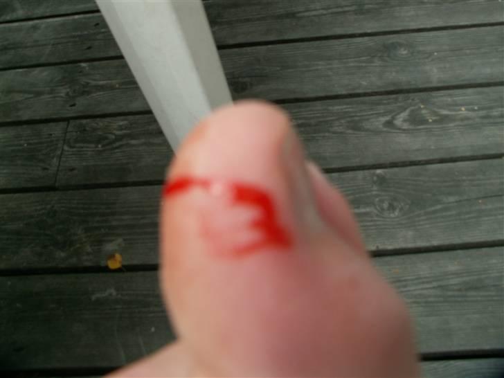 Min SUPER søde kanin <3 - AV !!!!   det er så min storetå! billede 11