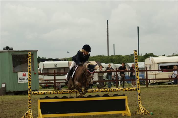 Ponyuge 2009 Bernie & Emilie Pedersen - Copyright  ©  Charlotte Petersen billede 3