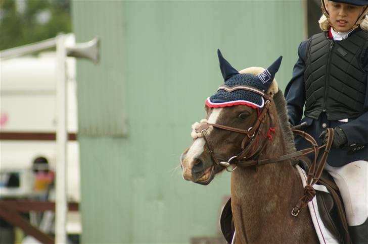 Ponyuge 2009 Bernie & Emilie Pedersen - Copyright  ©  Charlotte Petersen billede 5