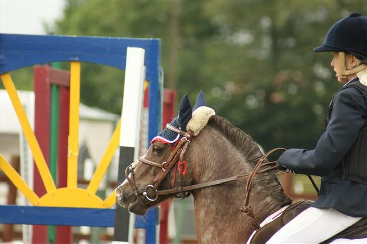 Ponyuge 2009 Bernie & Emilie Pedersen - Copyright  ©  Charlotte Petersen billede 6