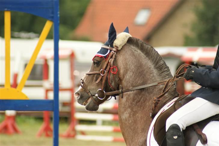 Ponyuge 2009 Bernie & Emilie Pedersen - Copyright  ©  Charlotte Petersen billede 7