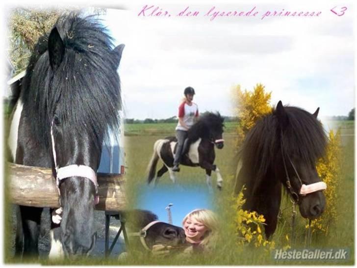 Animerede billeder - Klár frá krossi, min venindes hest. billede 1