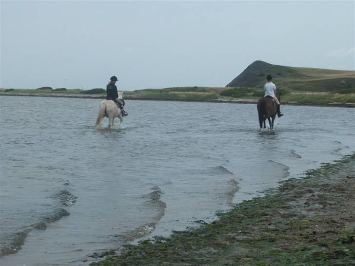 Ulbjerg Klint strand-billeder billede 1