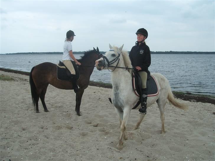 Ulbjerg Klint strand-billeder billede 2