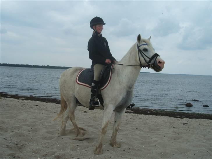 Ulbjerg Klint strand-billeder billede 3