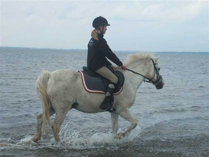 Ulbjerg Klint strand-billeder billede 6