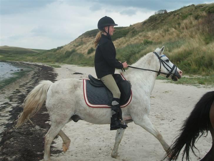 Ulbjerg Klint strand-billeder billede 9