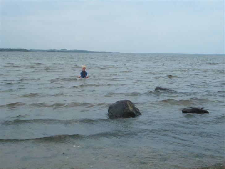 Ulbjerg Klint strand-billeder billede 13