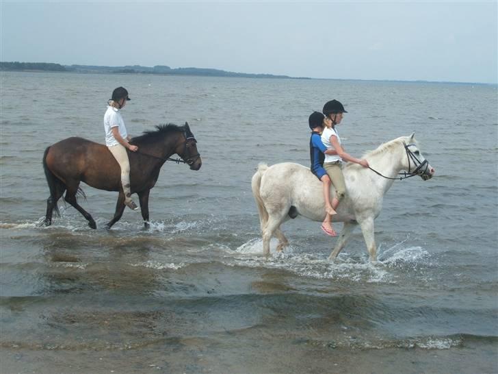 Ulbjerg Klint strand-billeder billede 15