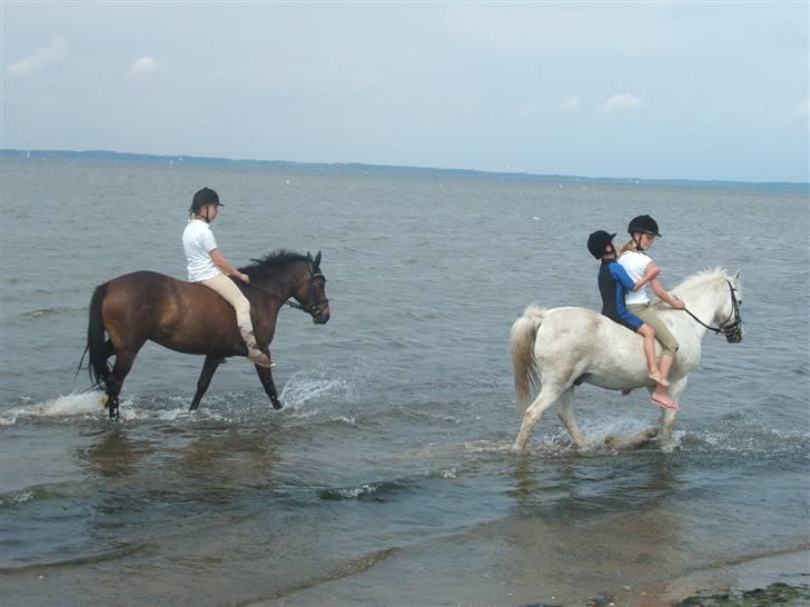 Ulbjerg Klint strand-billeder billede 16