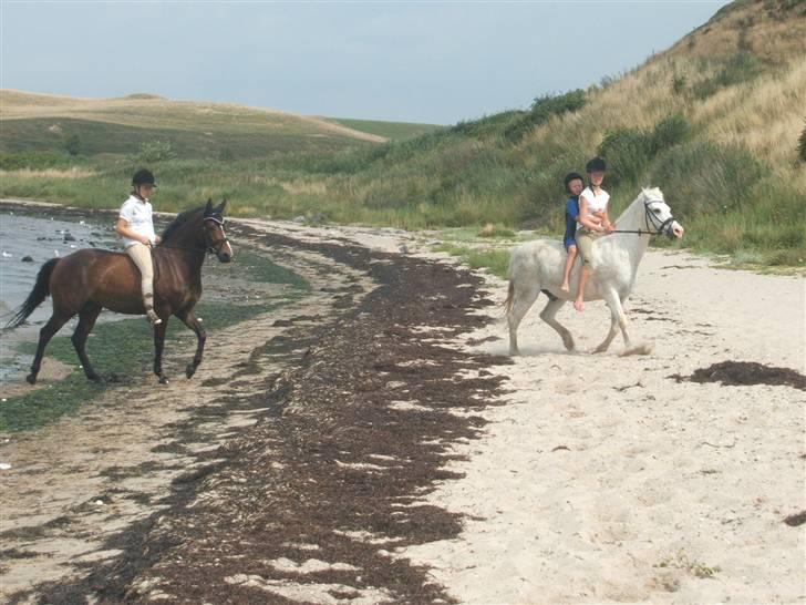 Ulbjerg Klint strand-billeder billede 17
