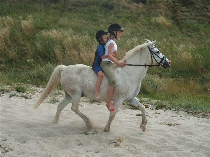Ulbjerg Klint strand-billeder billede 18