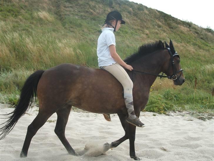 Ulbjerg Klint strand-billeder billede 19